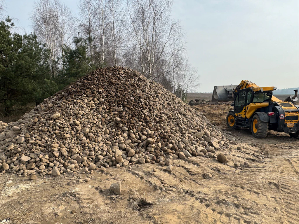 zbieranie kamienia przed siewem buraka. 180 ton kamieni z areału 6 hektarów plonpro zbieranie kamieni wieczfnia powiat mławski
