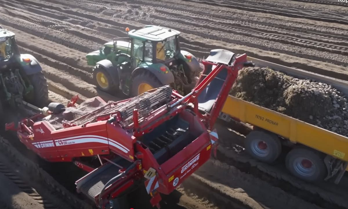 usługa zbierania kamieni separatorem Grimme. Widoczne są głębokie bruzdy po przejeździe maszyny. usuwanie kamieni maszyną grimme